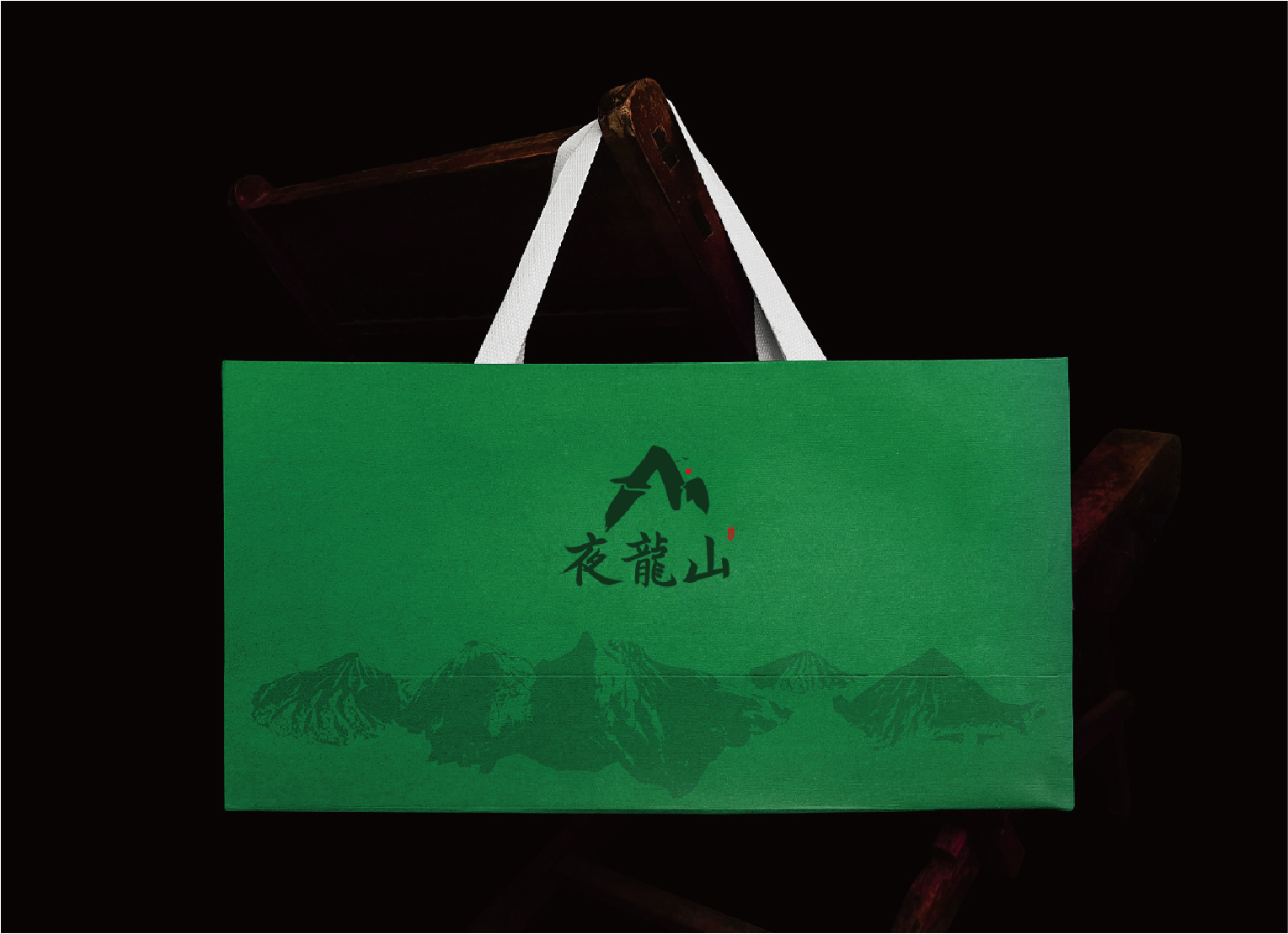 01-夜龙山VI基础部分-08
