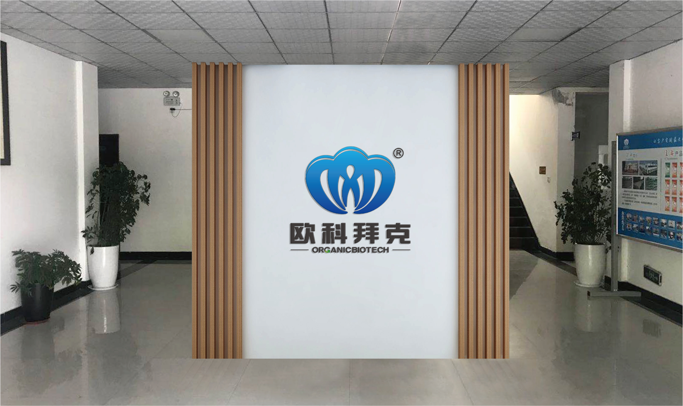 欧科拜克-01